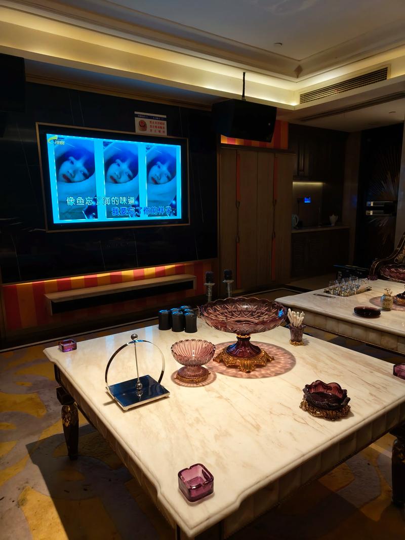 合肥商务ktv怎么样体验高品质娱乐-庐阳区ktv预订